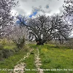 Royal Oak House By Trulycyprus فيلة