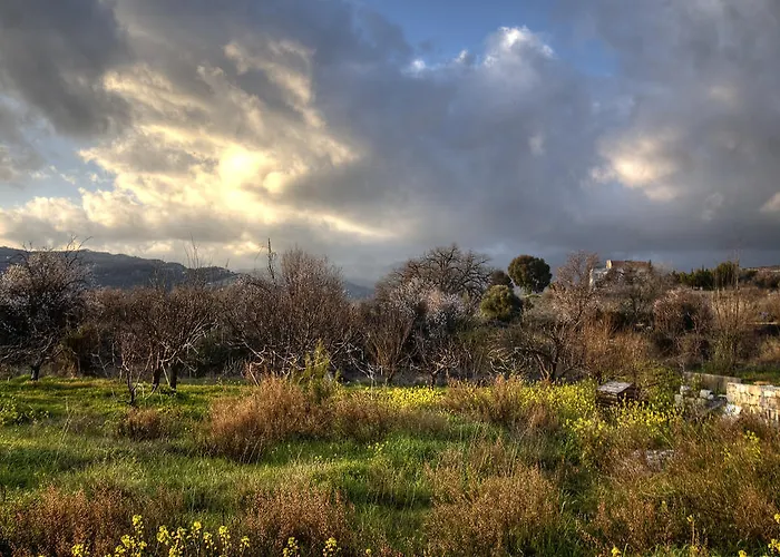 Royal Oak House By Trulycyprus Lania