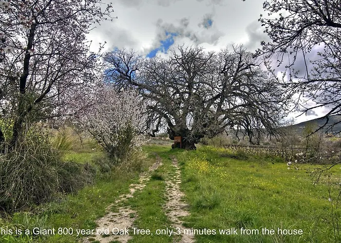 Royal Oak House By Trulycyprus Villa