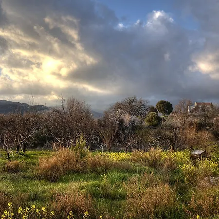 Royal Oak House By Trulycyprus Lania