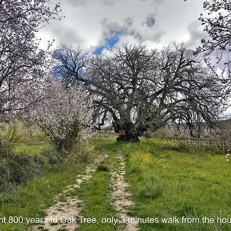 Royal Oak House By Trulycyprus וילה