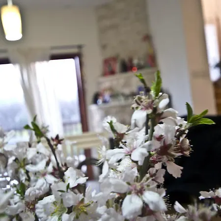 Royal Oak House By Trulycyprus *