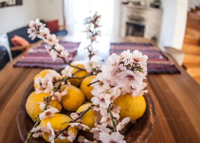 Vila Royal Oak House By Trulycyprus