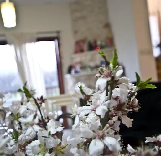 Royal Oak House By Trulycyprus *